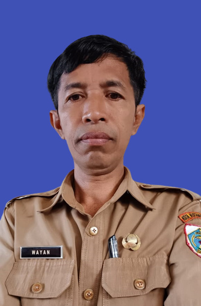 I WAYAN WEDAYASA, S.Pd.