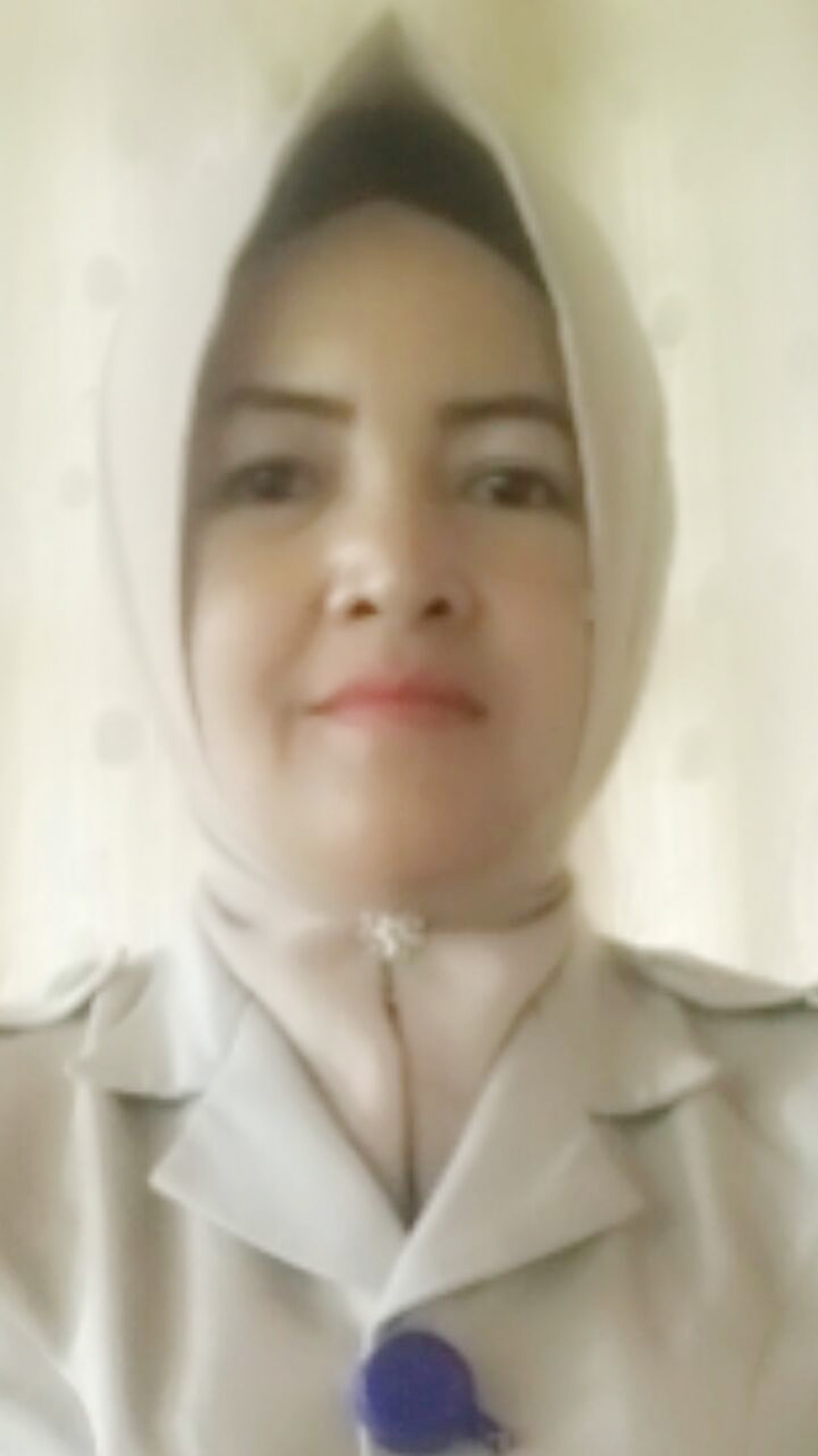 IRMIATI SANI, S.Pd.