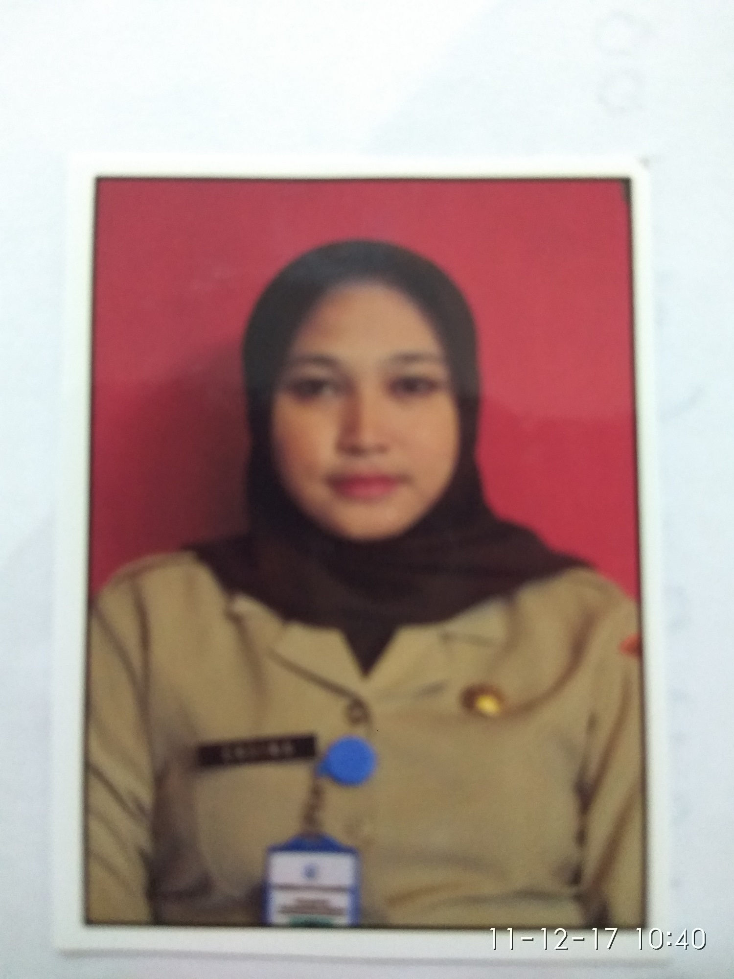 ERVINA PAPUTUNGAN, S.E.
