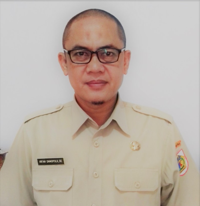 IRFAN DAMOPOLII, S.E.