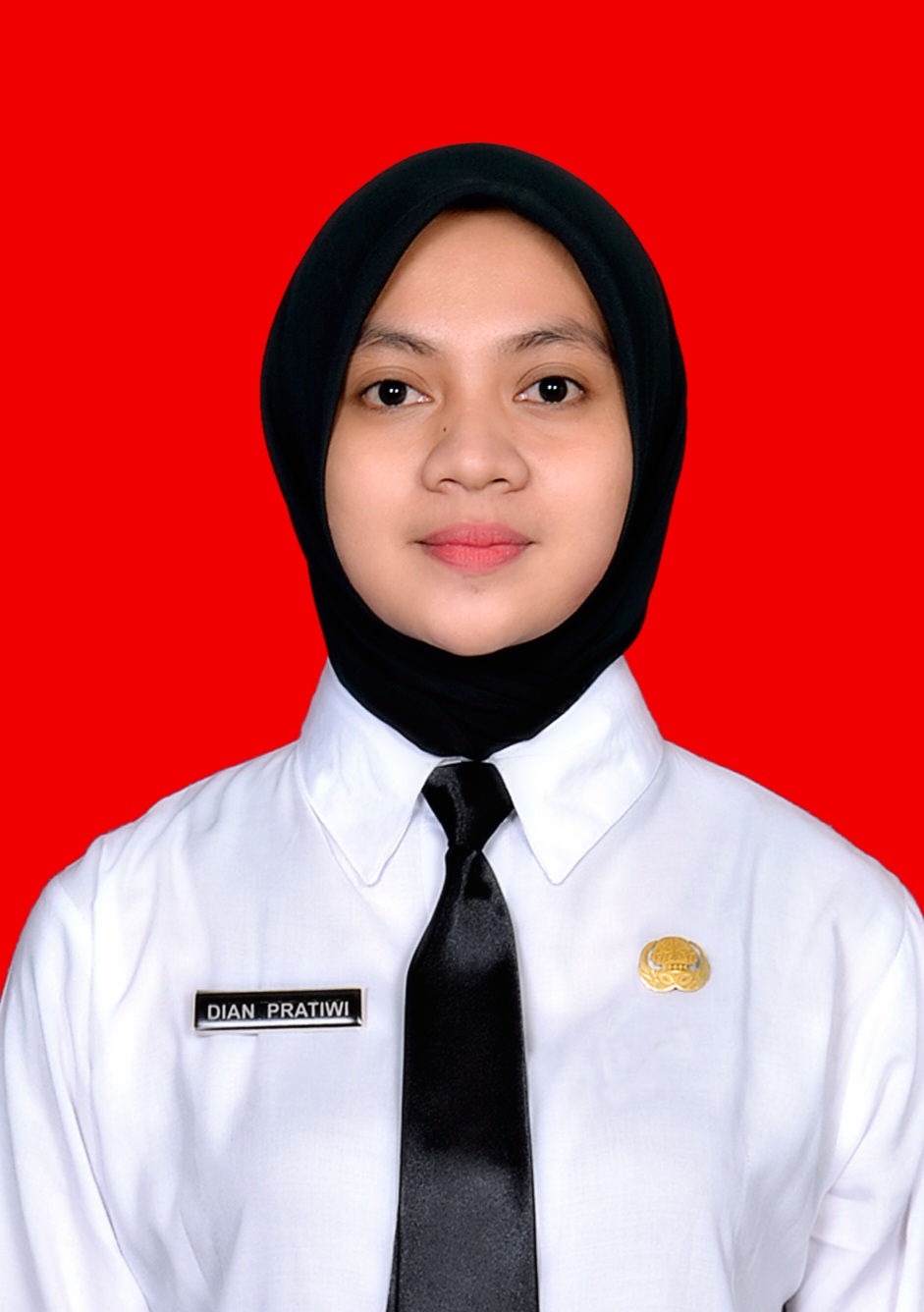 DIAN PRATIWI MAHADING, S.Kep Ns