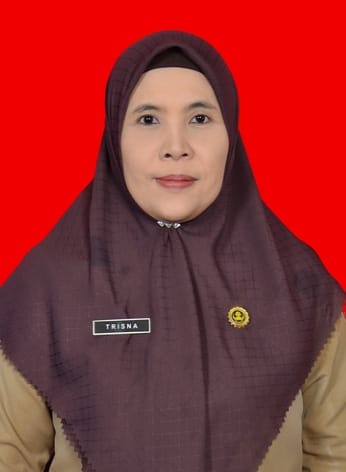 ARI TRISNA WIJAYANTI, S.Sos., M.A.P