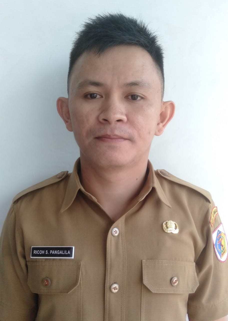 RICOH STEVANO PANGALILA, S.E.