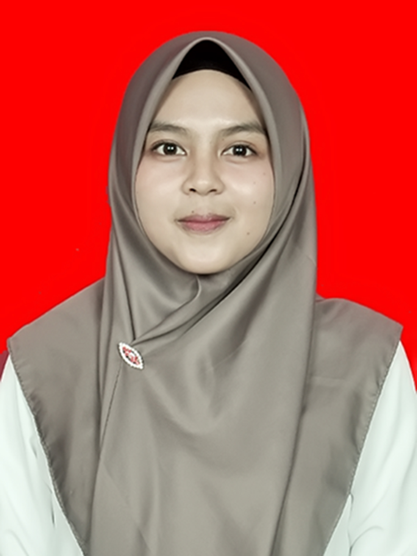 MEGA SARI TIARA SAID, S.Pd.